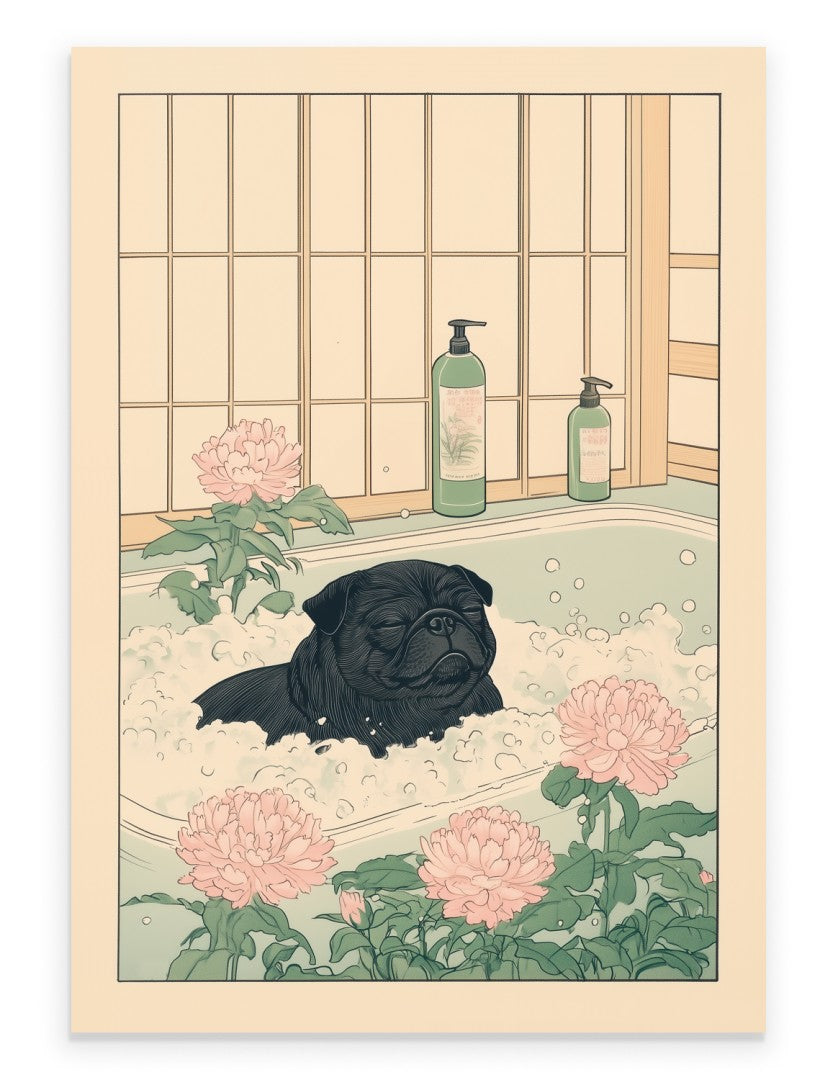 Black pug soaking in a Japanese-style bath – art print